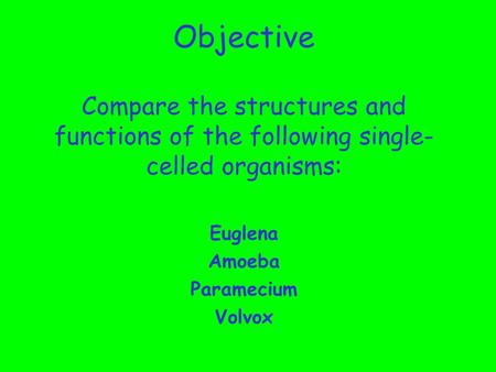 Objective Compare the structures and functions of the following single-celled organisms: Euglena Amoeba Paramecium Volvox.