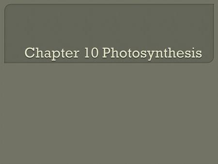 Chapter 10 Photosynthesis