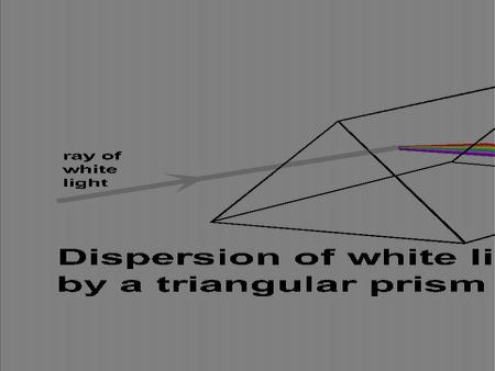 The LIGHT-DEPENDENT REACTIONS take place within the thylakoid membranes of the grana thylakoid membranes of granum The light dependent reactions begin.