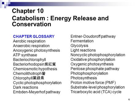 Catabolism : Energy Release and Conservation