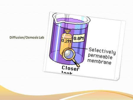 Diffusion/Osmosis Lab