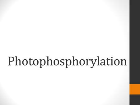 Photophosphorylation