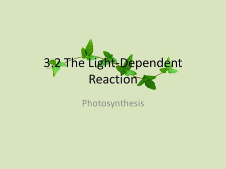 3.2 The Light-Dependent Reaction