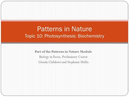 Part of the Patterns in Nature Module Biology in Focus, Preliminary Course Glenda Childrawi and Stephanie Hollis Patterns in Nature Topic 10: Photosynthesis: