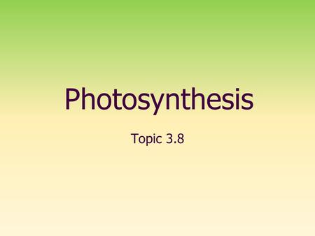 Photosynthesis Topic 3.8.