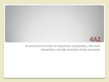 4A2 Structure and Function of subcellular components, with their interactions, provide essential cellular processes.