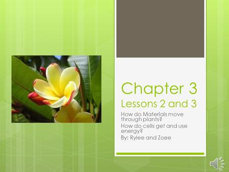 Chapter 3 Lessons 2 and 3 How do Materials move through plants?