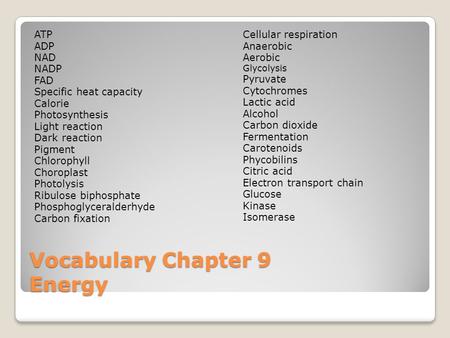 Vocabulary Chapter 9 Energy