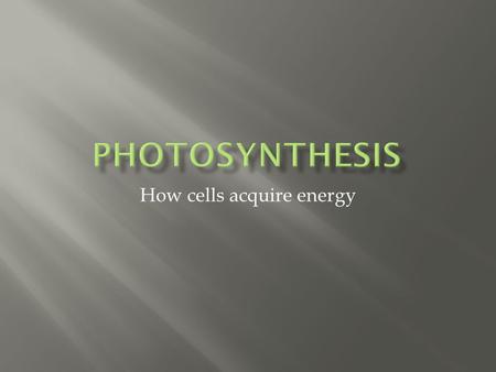 How cells acquire energy.  What is a heterotroph?  What is an autotroph?  What is the main source of energy?  What is energy?