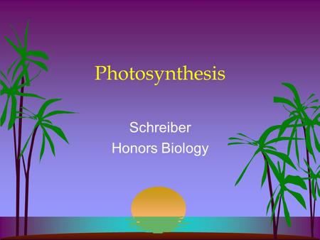 Photosynthesis Schreiber Honors Biology. Who does it?? Photoautotrophs Plants Algae Protists Bacteria **In Plants Primarily Leaves Mesophyll/ Parenchyma.