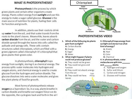 Photosynthesis is the process by which green plants and certain other organisms create energy. Plants collect energy from sunlight and use this energy.