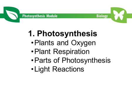 1. Photosynthesis Plants and Oxygen Plant Respiration Parts of Photosynthesis Light Reactions.