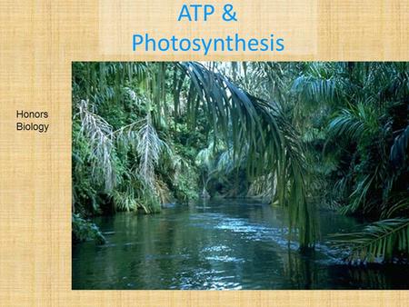 ATP & Photosynthesis Honors Biology. ATP All cells need __________for life. Some things we use energy for are: Moving Thinking Sleeping Breathing Growing.