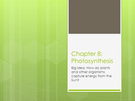 Chapter 8: Photosynthesis