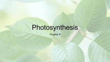 Photosynthesis Chapter 8.