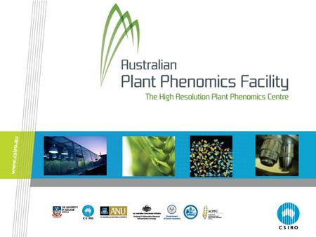 Plant phenomics Some background information A plant’s genotype is all of its genes. A plant’s phenotype is how it looks and performs: a plant’s phenotype.