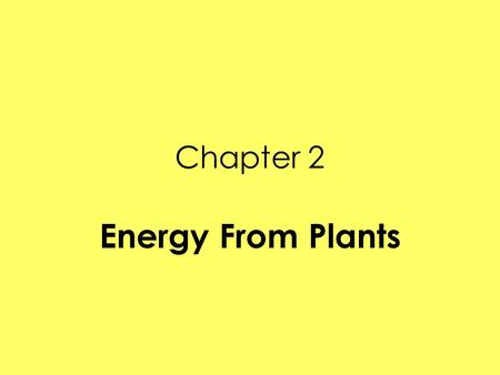 Chapter 2 Energy From Plants.