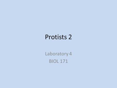 Protists 2 Laboratory 4 BIOL 171. Lab Study 3A: Amoebozoans Amoeba proteus Pseudopodia – temporary extensions of amoeboid cells, function in moving.