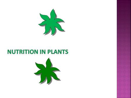 TThe nutrients enable living organisms to build their bodies, to grow, to repair their damaged parts of their bodies and provide the energy to carry.