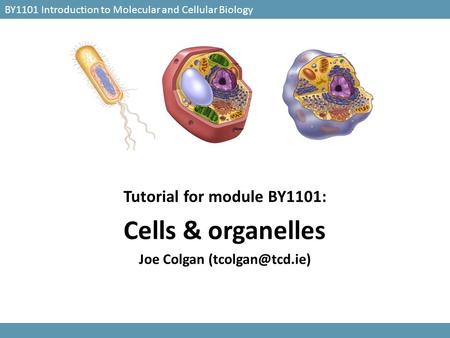 Tutorial for module BY1101: Joe Colgan