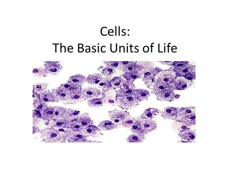 Cells: The Basic Units of Life