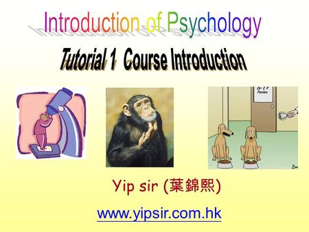 Www.yipsir.com.hk Yip sir ( 葉錦熙 ). Tutor IP Kam Hee, Ivan 葉錦熙 (BSW, MA, RSW) PT Lecturer of CityU since 1996 Now freelance trainer in schools, colleges,