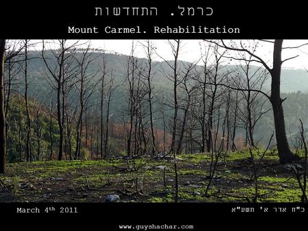 Www.guyshachar.com כרמל. התחדשות Mount Carmel. Rehabilitation כח אדר א' תשעא March 4 th 2011.