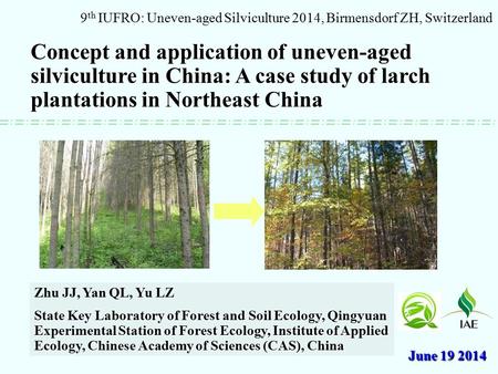 Concept and application of uneven-aged silviculture in China: A case study of larch plantations in Northeast China 9 th IUFRO: Uneven-aged Silviculture.