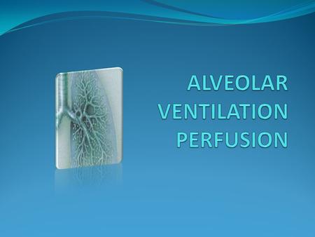 KEY POINTS KEY POINTS ALVEOLAR VENTILATION–(V A ) ALVEOLAR PERFUSION- PULMONARY CIRCULATION (Q) VENTILATION – PERFUSION RATIO (V A /Q) VENTILATION PERFUSION.