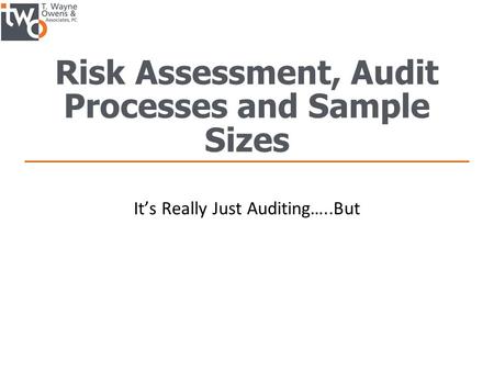 Risk Assessment, Audit Processes and Sample Sizes