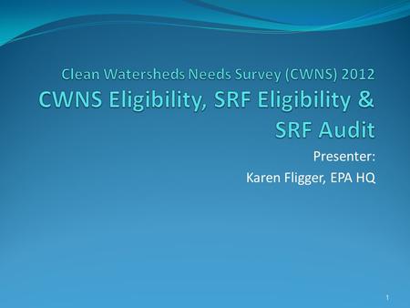 Presenter: Karen Fligger, EPA HQ 1. Session Overview 1) Introduction to CWNS 2) Needs Definitions and Categories 3) Needs Elgibility 4) SRF Eligibility.