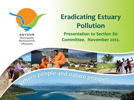 Eradicating Estuary Pollution Presentation to Section 80 Committee. November 2012.