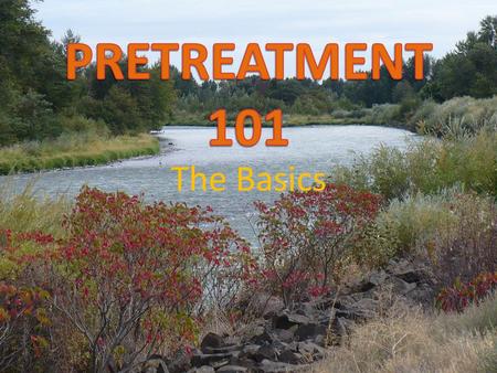 The Basics. WHAT IS PRETREATMENT? The term PRETREATMENT means the treatment of wastewater by commercial and industrial facilities to remove harmful pollutants.