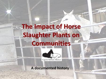 The Impact of Horse Slaughter Plants on Communities A documented history.