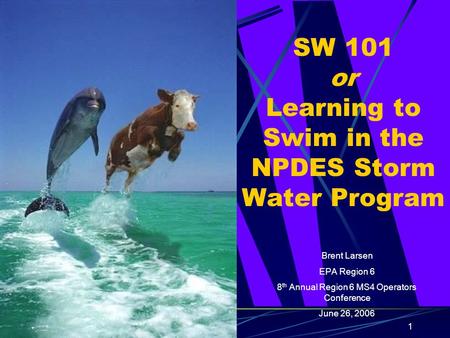 1 SW 101 or Learning to Swim in the NPDES Storm Water Program Brent Larsen EPA Region 6 8 th Annual Region 6 MS4 Operators Conference June 26, 2006.