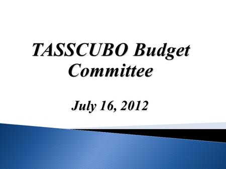 TASSCUBO Budget Committee July 16, 2012. 2 3 Reduced Unfunded Mandates, Regulations, and State Reporting Requirements Senate Bill 5 - Zaffirini/Branch.