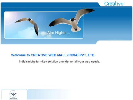 Welcome to CREATIVE WEB MALL (INDIA) PVT. LTD. India’s niche turn-key solution provider for all your web needs.