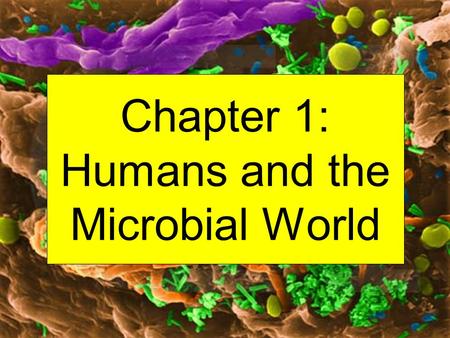 Chapter 1: Humans and the Microbial World