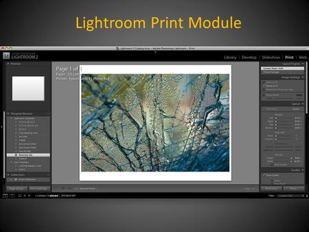 Lightroom Print Module. Click: Page Setup Lower left panel For most prints, choose “Maximize Size”