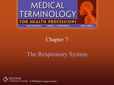 The Respiratory System