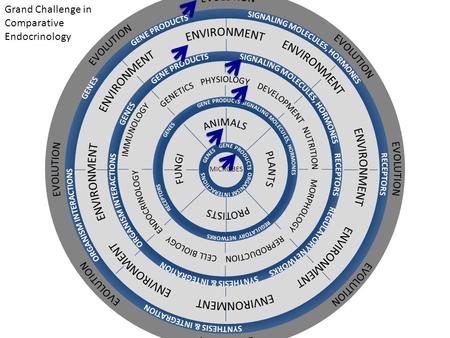 MICROBES Grand Challenge in Comparative Endocrinology.