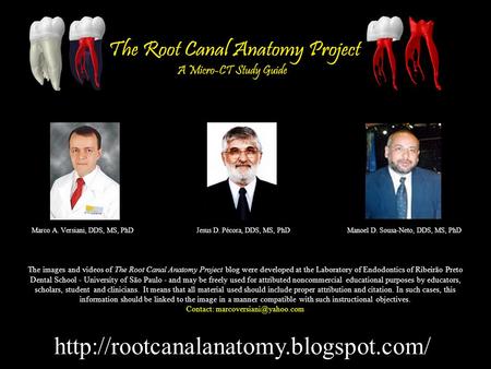 Marco A. Versiani, DDS, MS, PhDJesus D. Pécora, DDS, MS, PhDManoel D. Sousa-Neto, DDS, MS, PhD The images and videos.