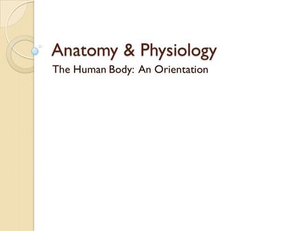 The Human Body: An Orientation