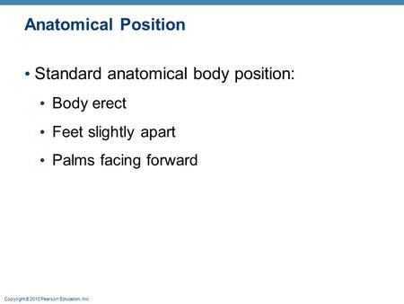 Standard anatomical body position: