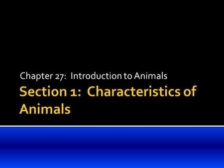 Chapter 27: Introduction to Animals.  Heterotrophy  Animals are heterotrophs – that is, they can not make their own food.  Most animals move from place.