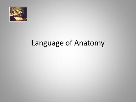 Language of Anatomy. What is this fin called? Language of Anatomy Why is the back of your hand called the dorsal surface?