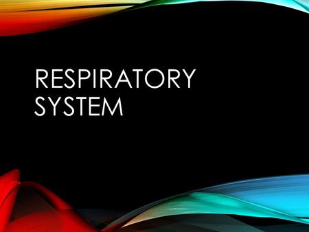 Respiratory System.