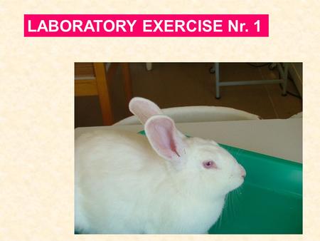 LABORATORY EXERCISE Nr. 1. VEDENÍ PROTOKOLU Date :Name : Name of experiment Aim of the study : Experimental subject : Instruments : Equipment : Results.