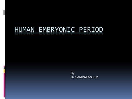 HUMAN EMBRYONIC PERIOD