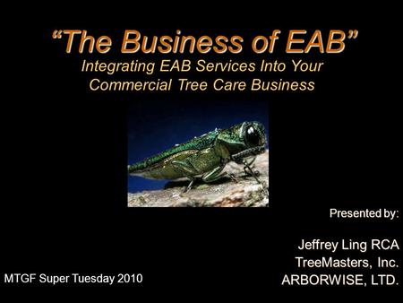 “The Business of EAB” Presented by: Jeffrey Ling RCA TreeMasters, Inc. ARBORWISE, LTD. Picture of EAB MTGF Super Tuesday 2010 Integrating EAB Services.